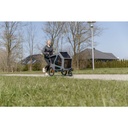 # Fietskar met vering en oploopplank t. 45kg
