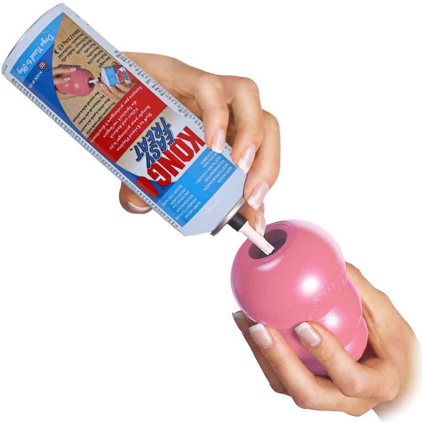 Kong Spuitbus Puppy Treat