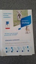 Beeld  Teak hond zittend handgemaak