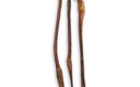 Bullepees ± 60cm 1 st
