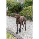 Pootbescherming Walker Active Long, XL, 2 st., zwart/grijs