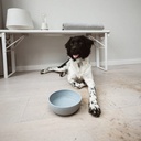 District 70 BAMBOO Dog Bowl - Large - Ice Blue
