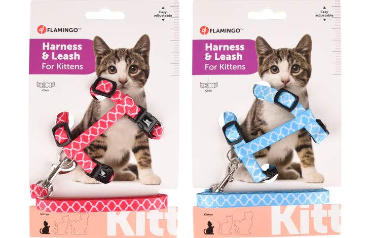 KITTENHARNAS + LIJN AMSI 15-25CM 10 MM ASSORTIMENT