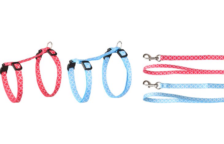 KATTENHARNAS + LIJN GROTE KAT AMSI 25-40CM 10MM ASSORTIMENT