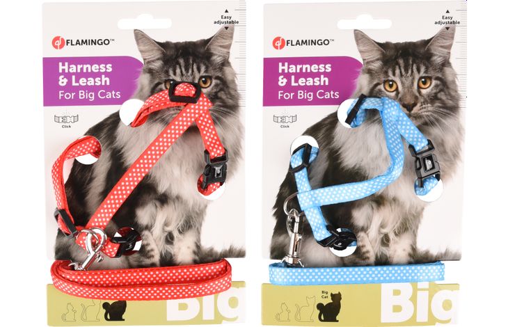 KATTENHARNAS + LIJN GROTE KAT AIWA 25-40CM 10MM ASSORTIMENT