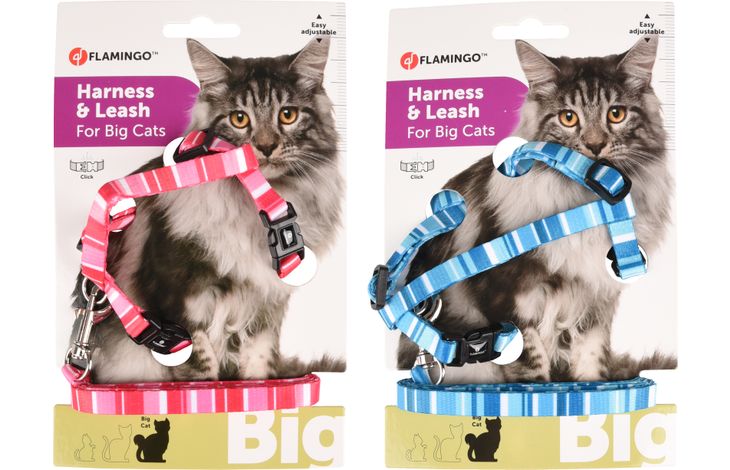 KATTENHARNAS + LIJN GROTE KAT ALFRY 25-40CM 10MM ASSORTIMENT