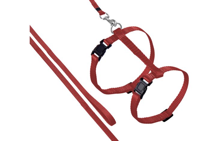 KATTENHARNAS + LIJN ZIGGI ROOD 20-3 5CM 10MM