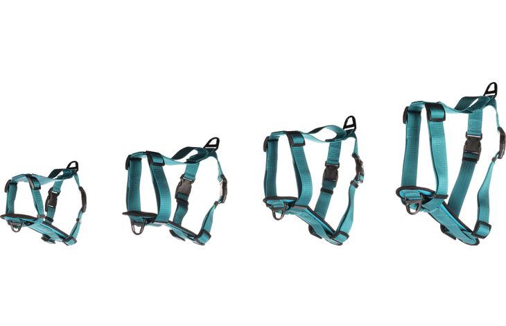 H-HARNAS ZORBA TURQUOISE S 40-55CM 25MM