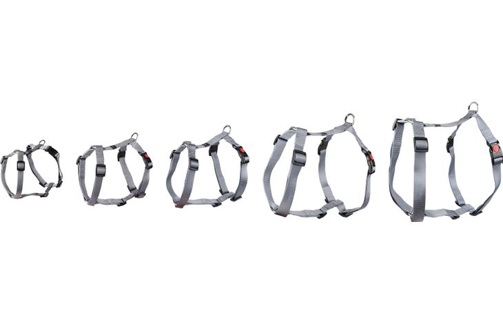H-HARNAS ZIGGI GRIJS XL 70-110CM 25 MM