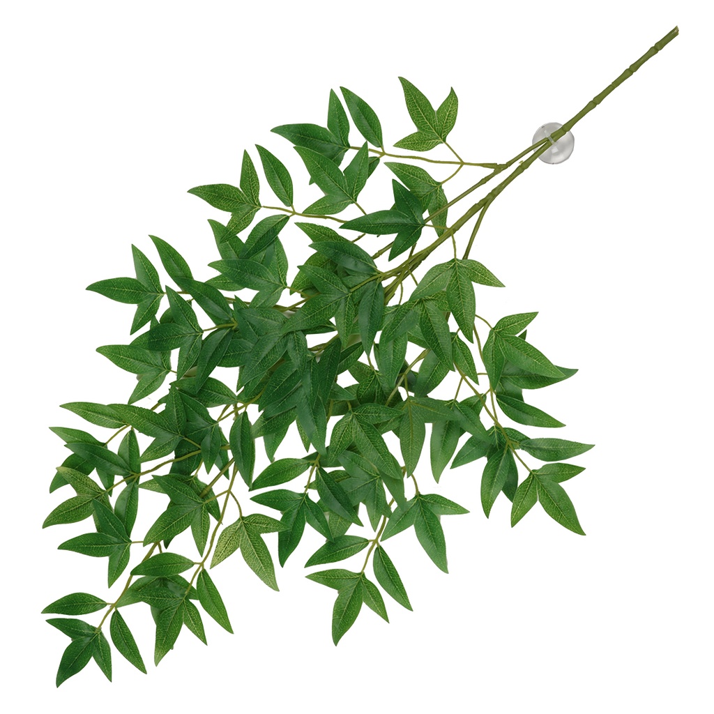 Hangende plant Nandina 65x35x1,5cm groen