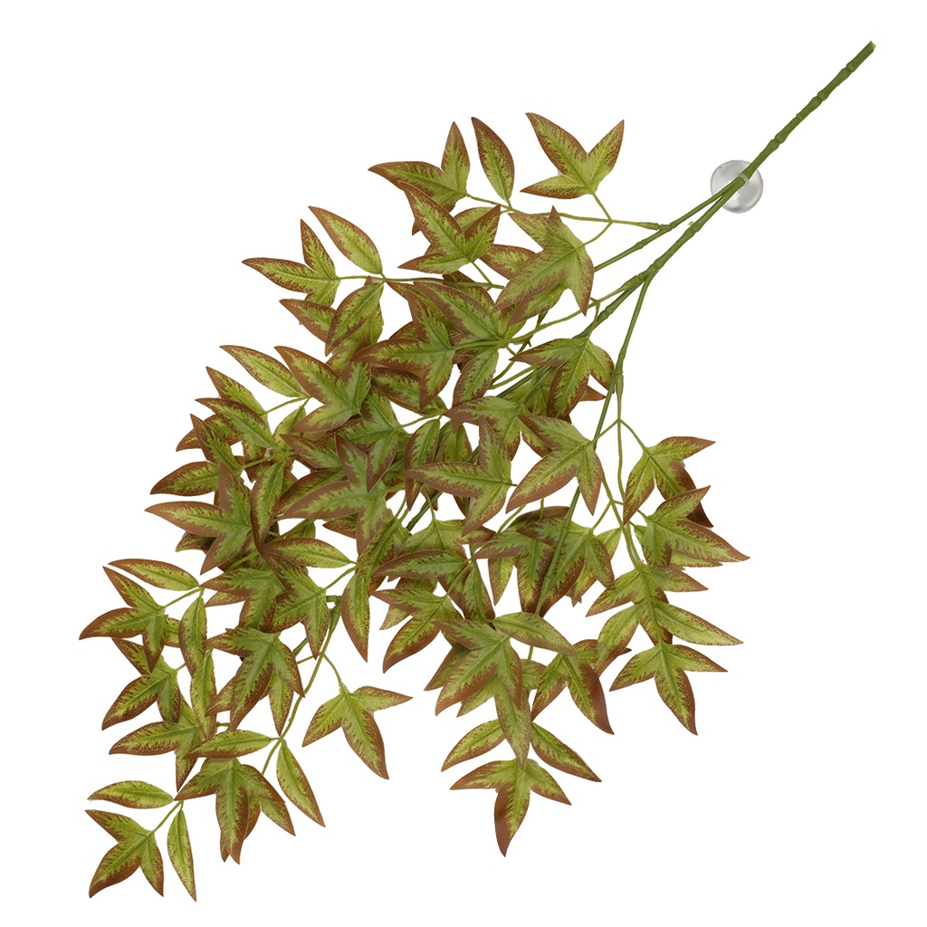 Hangende plant Nandina 65x35x1,5cm groen