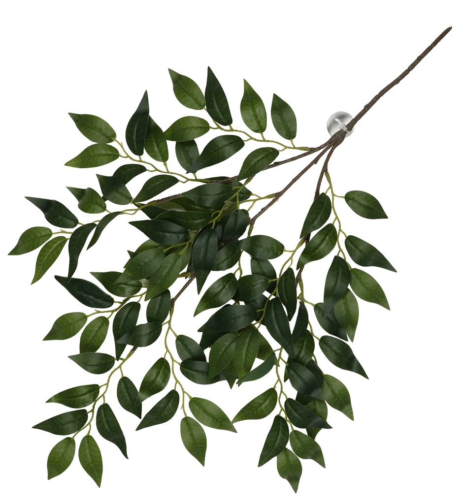 Hangende plant Banyan 62x32x3cm groen