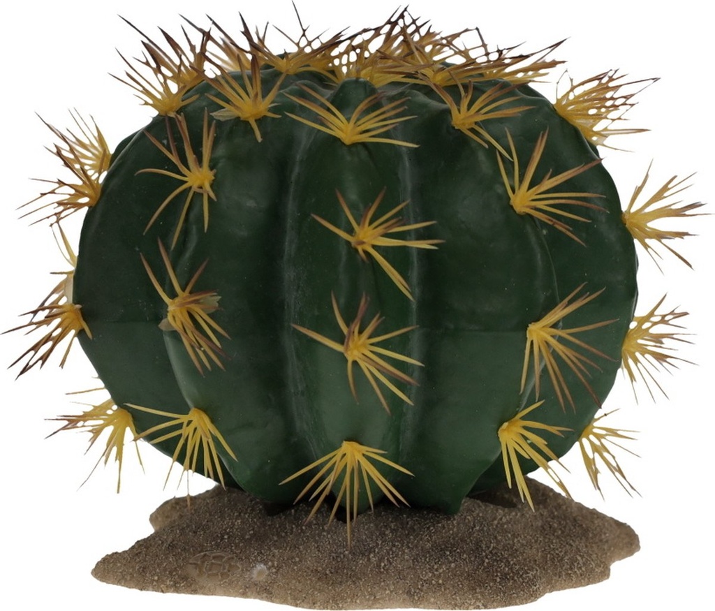 Echinocactus 1 16,5x15,5x14cm groen