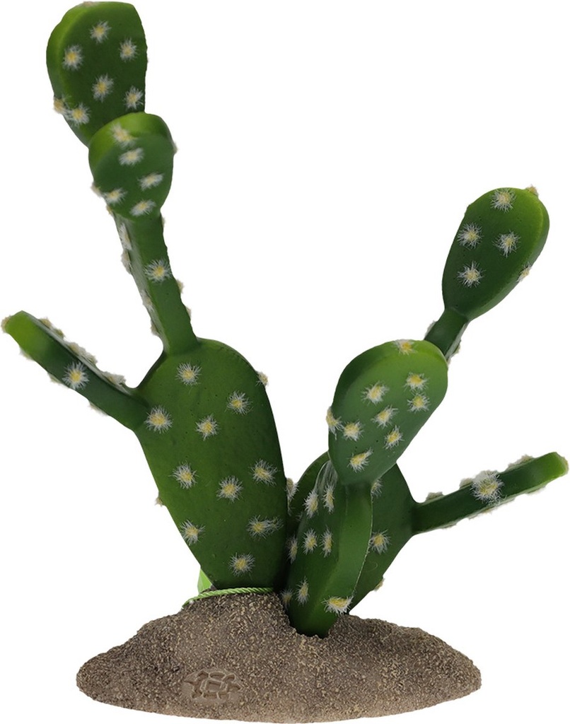 Vijgencactus 15,5x9x16,5cm groen