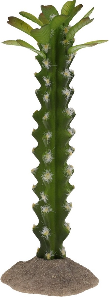 Cactus cilinder 3 10x8,5x23,5cm groen