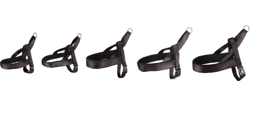 NOORS HARNAS ABBI ZWART M 50-65CM