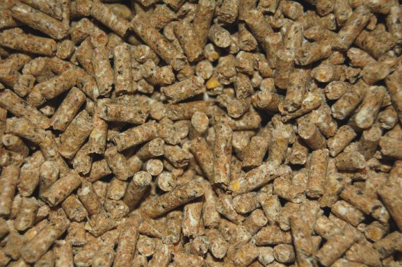 # * Scharrel korrel kip 20kg