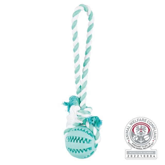 Denta Fun bal aan touw, muntsmaak, natuurrubber, ø 7/24 cm