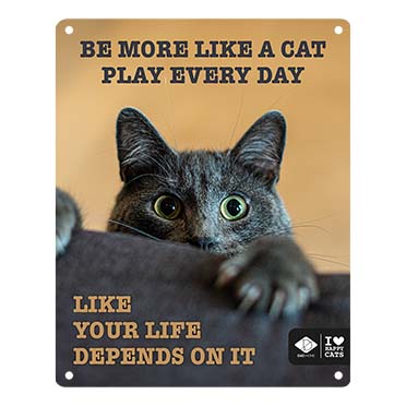 I LOVE Happy Cats bord 'play every day' 20x25cm Meerkleurig