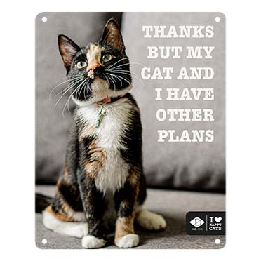 I LOVE Happy Cats bord 'other plans' 20x25cm Meerkleurig