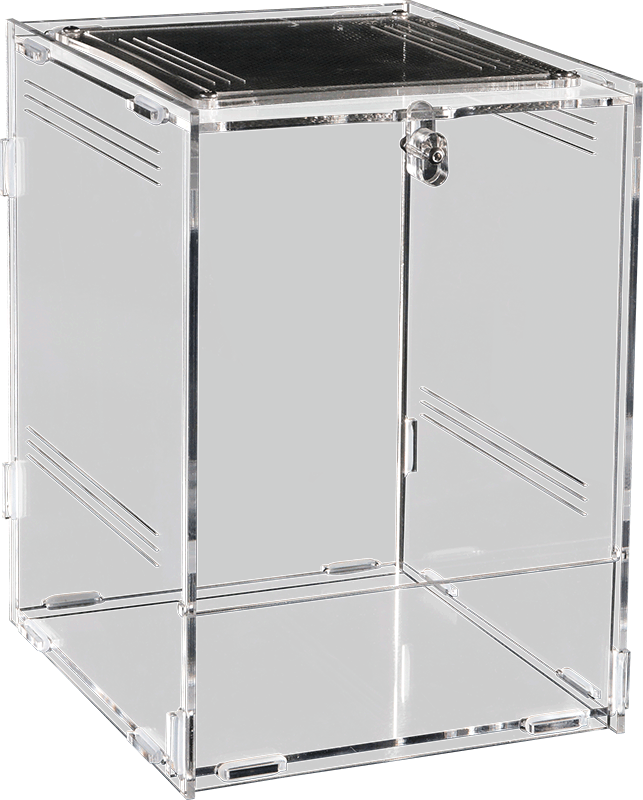 REPTO TERRA CLEAR 11,5x10x16,5