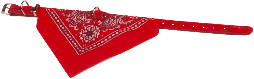 Halsband met Zakdoek Rood 60cm