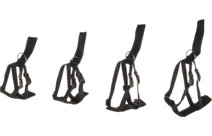 VEILIGHEIDSHARNAS AUTO BARO M ZWART 48-68CM