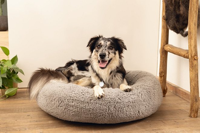 BZ MEMORY FOAM Rest Bascet Jaxx grey 60