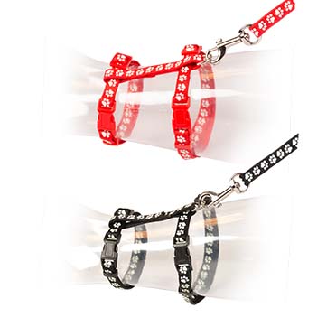 Grote kat wandelset pootjes 30-50cm / 12mm - 125cm gemengde kleuren