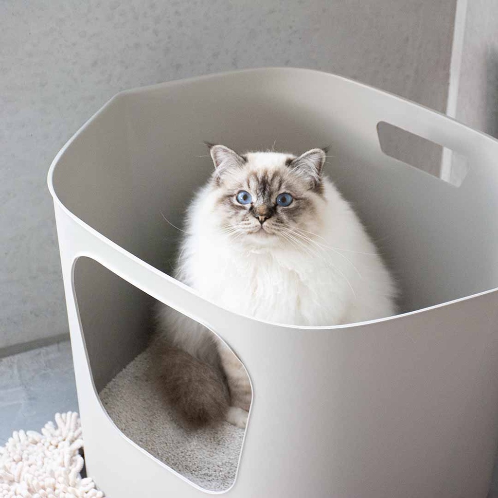DEAN - Open gerecycleerde kattenbak 54,4x43,9x40,5cm - display grijs