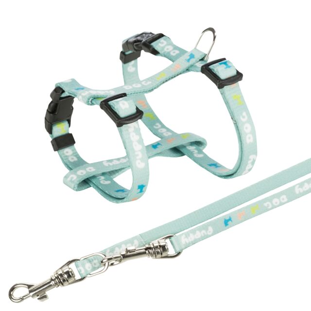 Junior Puppy-H-tuig met riem M-L mintgroen