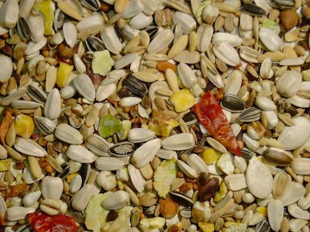 Papegaai Premium VL 3kg