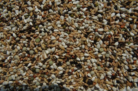 SIERDUIVENZAAD 4KG