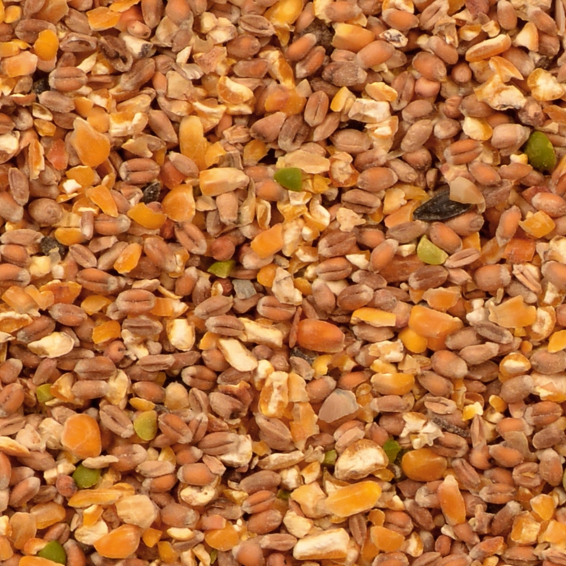 Scharrel Graan 4kg