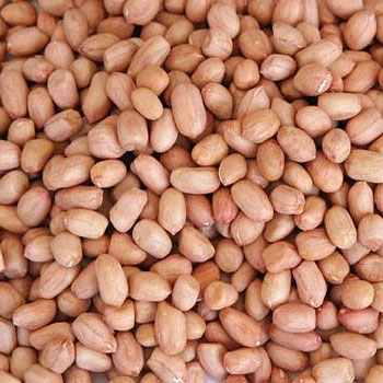 Pinda gepeld  2000 GR