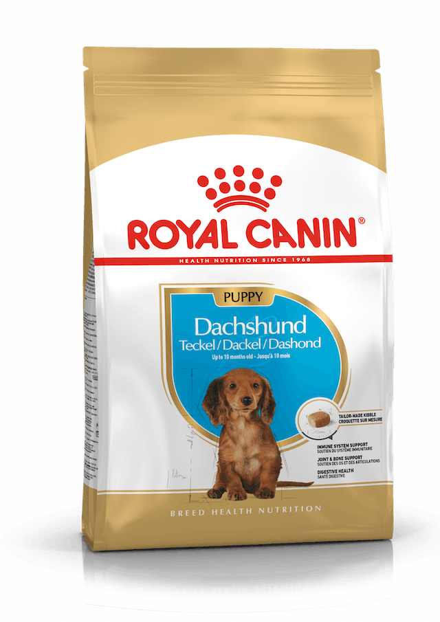 Royal Canin Dachshund (Teckel) Puppy 1,5 kg