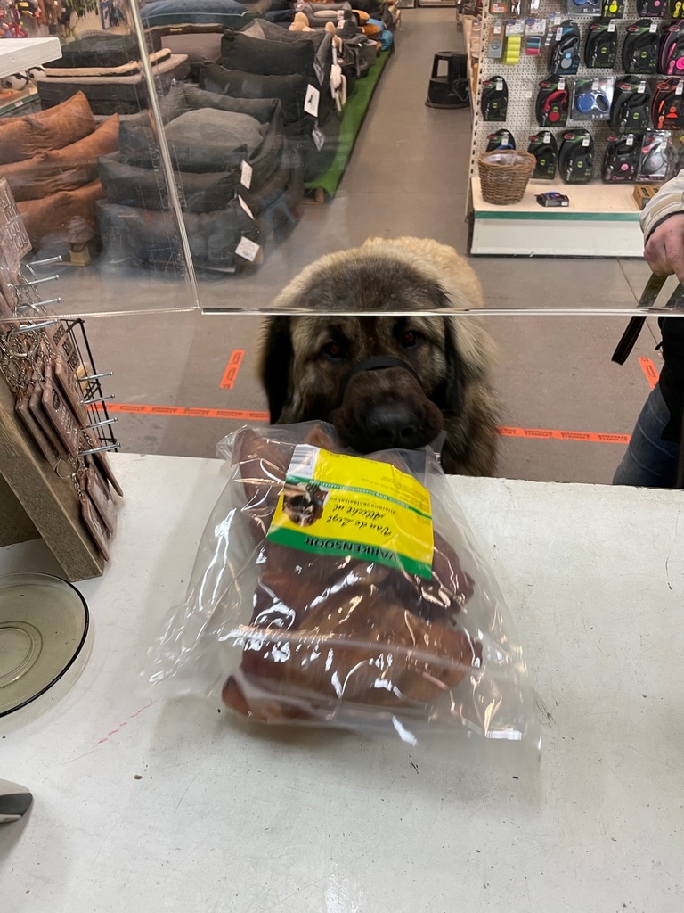 * Varkensoren Grote Zak VOORDEEL (9-10st)