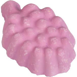 Knaagsteen DRUIF 30GR
