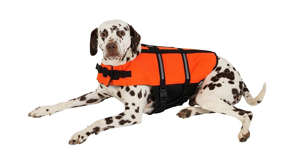 Honden Zwemvest XS 25 cm