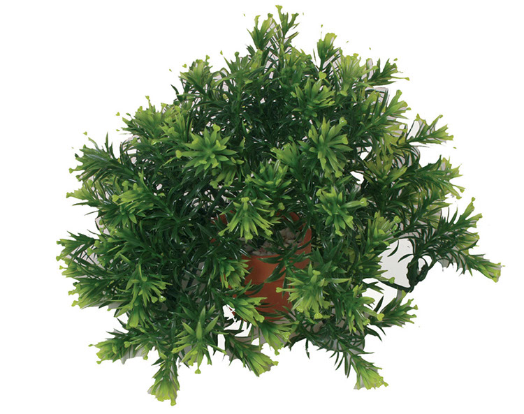 KP Bowl In Pot 20cm Assortie