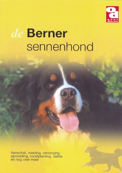 OD Berner Sennenhond
