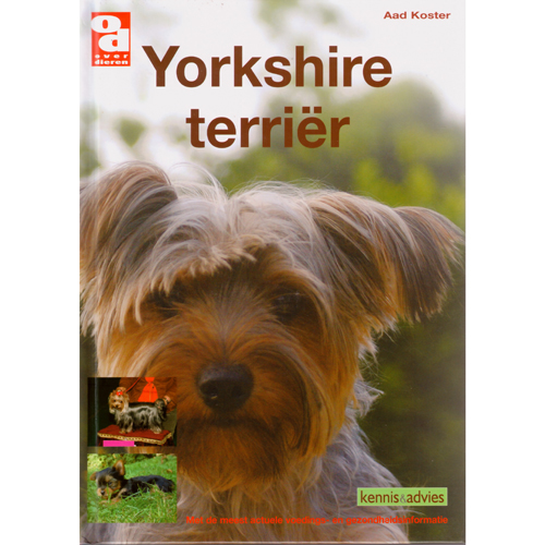 OD De Yorkshire Terrier