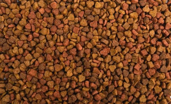 Kattenbrokjes 1kg