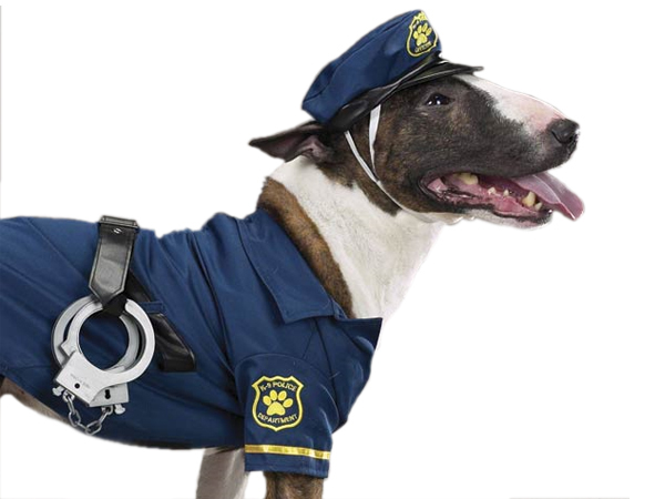 Politie kostuum S
