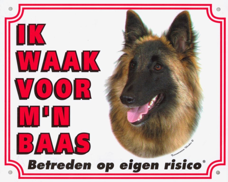 WAAKB.GROOT/KLEUR TERVURENSE HERDER
