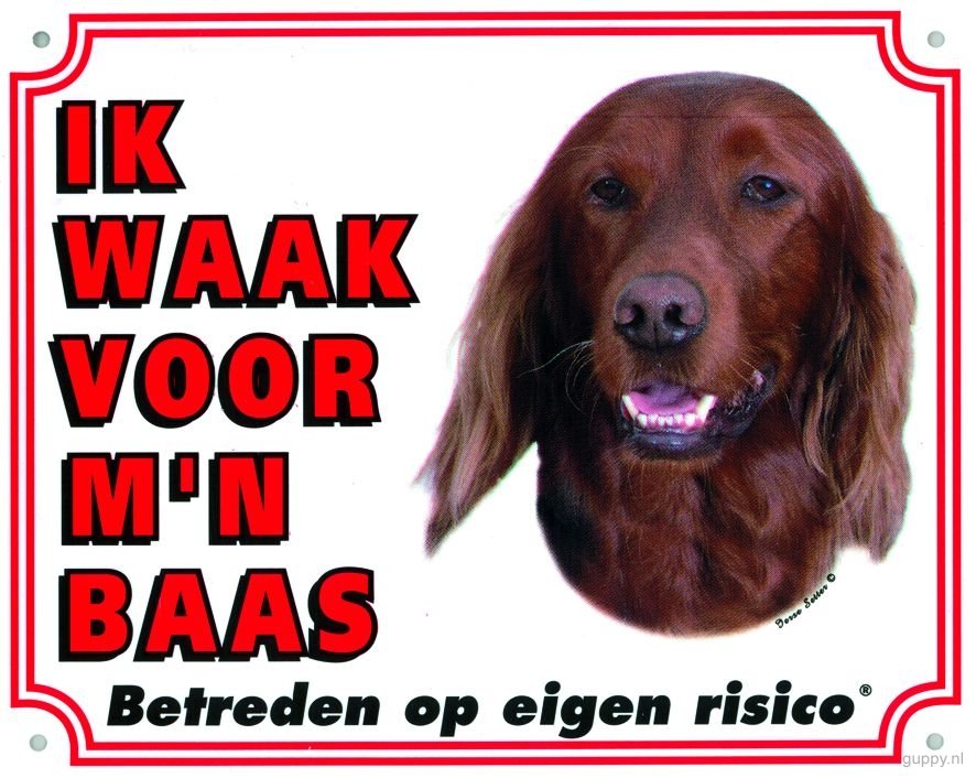 WAAKBORD GROOT/KLEUR IERSE SETTER