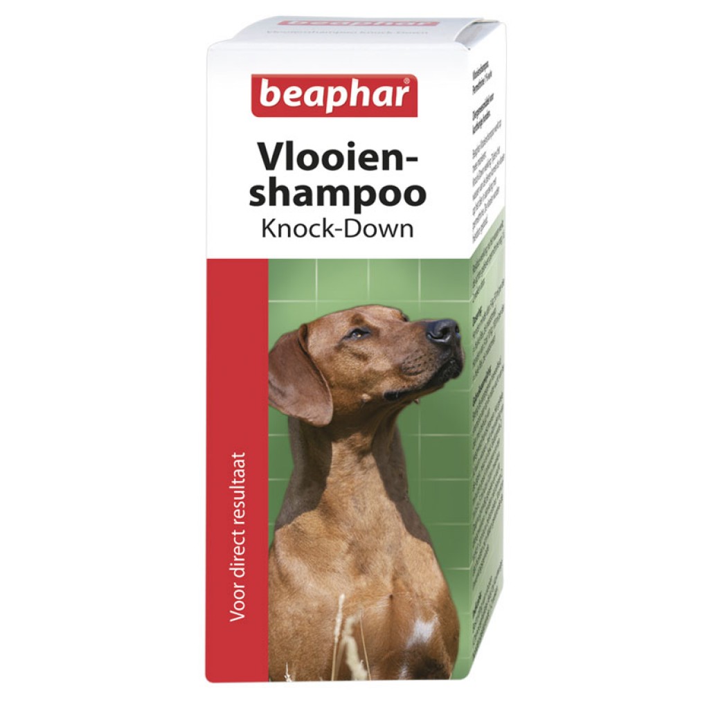 VLOOIENSHAMPOO HND 100 ML