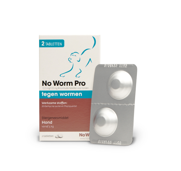 Exil No Worm Pro Hond M tabl. 50kg  2tab