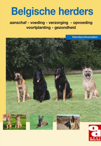 Belgische herder