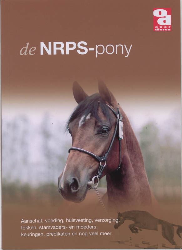 Nederlandse rijpony